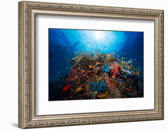 Apnea-Barathieu Gabriel-Framed Photographic Print