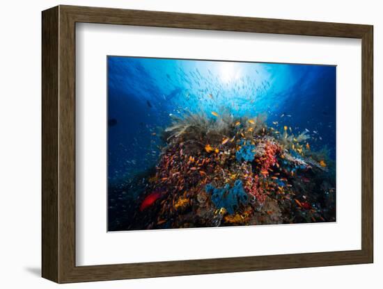 Apnea-Barathieu Gabriel-Framed Photographic Print