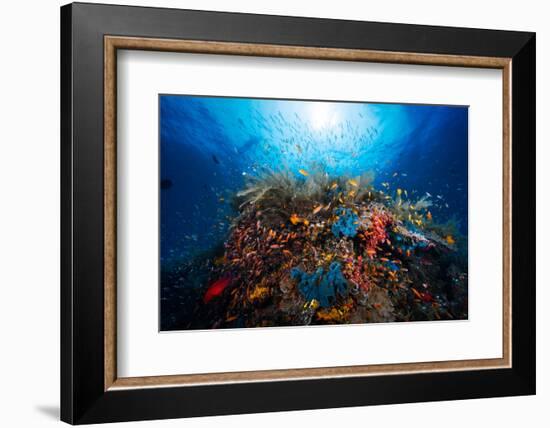 Apnea-Barathieu Gabriel-Framed Photographic Print