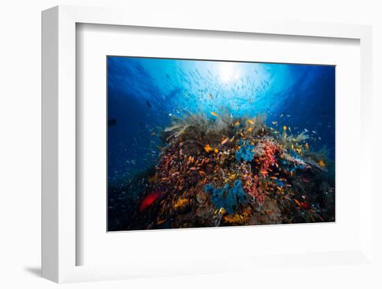 Apnea-Barathieu Gabriel-Framed Photographic Print