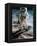 Apollo 11: Buzz Aldrin-null-Framed Premier Image Canvas