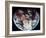 Apollo 11: Earth-null-Framed Giclee Print