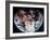 Apollo 11: Earth-null-Framed Giclee Print