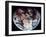 Apollo 11: Earth-null-Framed Giclee Print