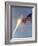 Apollo 11 Launch Photograph - Cape Canaveral, FL-Lantern Press-Framed Art Print