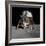 Apollo 11 Lunar Module on the Moon's Surface, July 20, 1969-null-Framed Photo