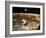 Apollo 11's Lunar Module Flying over the Moon with Earth in the Bkgrd-null-Framed Photographic Print