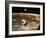 Apollo 11's Lunar Module Flying over the Moon with Earth in the Bkgrd-null-Framed Photographic Print