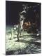 Photographic Print