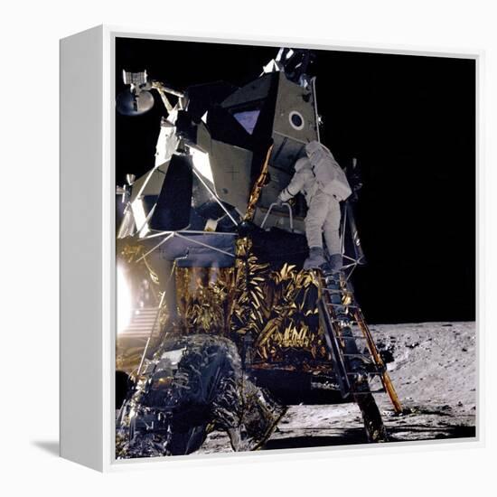 Apollo 12 Astronaut Alan Bean Starts Down Ladder of Lunar Module 'Intrepid'-null-Framed Stretched Canvas