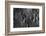 Apollo 13 Planned Landing Site on Moon-null-Framed Photographic Print