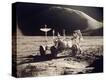 Stretched Canvas Print