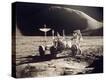 Stretched Canvas Print