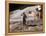 Apollo 15 Moonwalk 1971-null-Framed Premier Image Canvas