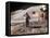 Apollo 15 Moonwalk 1971-null-Framed Premier Image Canvas