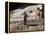 Apollo 15 Moonwalk 1971-null-Framed Premier Image Canvas