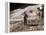 Apollo 15 Moonwalk 1971-null-Framed Premier Image Canvas