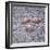 Apollo 16 recovery-Science Source-Framed Giclee Print