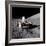 Apollo 17 Astronaut Eugene a Cernan Driving the Lunar Rover-null-Framed Photo