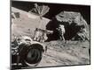 Photographic Print