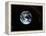 Apollo 17 Photo of Whole Earth-null-Framed Premier Image Canvas