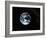 Apollo 17 Photo of Whole Earth-null-Framed Photographic Print