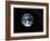 Apollo 17 Photo of Whole Earth-null-Framed Photographic Print