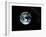 Apollo 17 Photo of Whole Earth-null-Framed Photographic Print