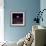 Apollo 8 Earth-null-Framed Photographic Print displayed on a wall