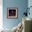 Apollo 8 Earth-null-Framed Photographic Print displayed on a wall