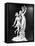 Apollo and Daphne by Gian Lorenzo Bernini-null-Framed Premier Image Canvas