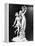 Apollo and Daphne by Gian Lorenzo Bernini-null-Framed Premier Image Canvas