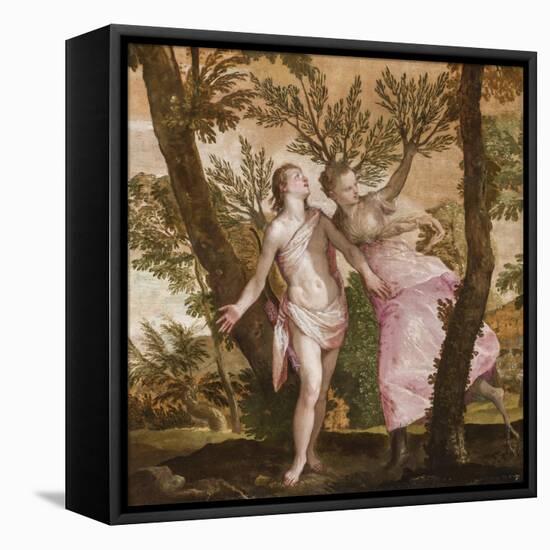 Apollo and Daphne, C.1560-65-Veronese-Framed Premier Image Canvas