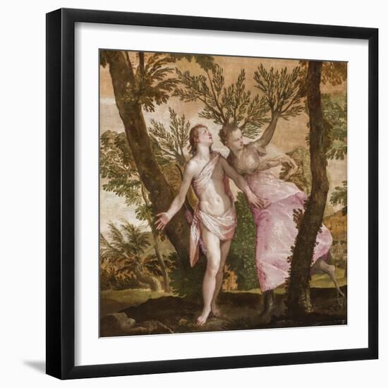 Apollo and Daphne, C.1560-65-Veronese-Framed Giclee Print