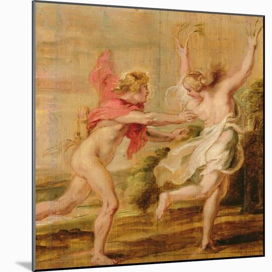 Apollo and Daphne, C.1636-Peter Paul Rubens-Mounted Giclee Print