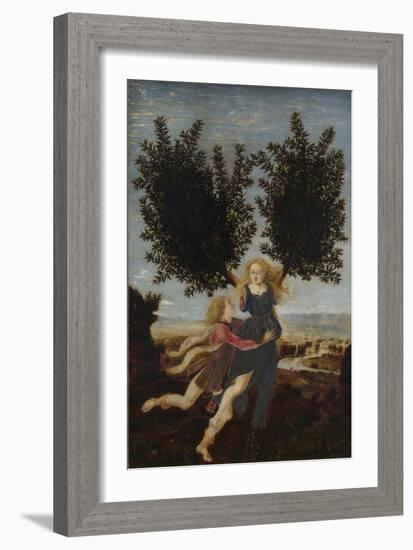 Apollo and Daphne, Ca. 1470-1480-Antonio Pollaiuolo-Framed Giclee Print