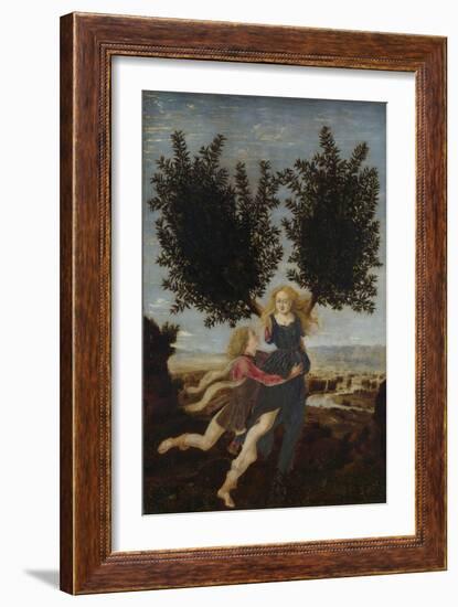 Apollo and Daphne, Ca. 1470-1480-Antonio Pollaiuolo-Framed Giclee Print