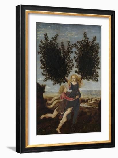 Apollo and Daphne, Ca. 1470-1480-Antonio Pollaiuolo-Framed Giclee Print