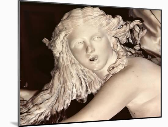 Apollo and Daphne, Detail of Daphne's Head, 1622-25-Giovanni Lorenzo Bernini-Mounted Giclee Print