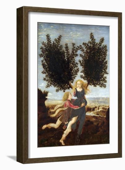 Apollo and Daphne-Antonio Del Pollaiuolo-Framed Giclee Print