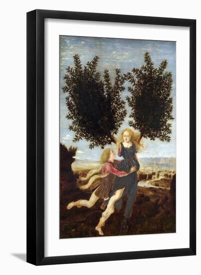 Apollo and Daphne-Antonio Del Pollaiuolo-Framed Giclee Print