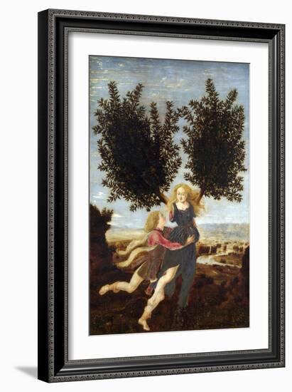 Apollo and Daphne-Antonio Del Pollaiuolo-Framed Giclee Print