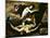 Apollo and Marsyas-Jusepe de Ribera-Mounted Giclee Print