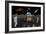 Apollo Astronauts Coming into Contact with an Alien Ufo While on the Moon-null-Framed Art Print