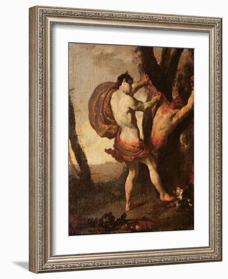 Apollo Flaying Marsyas, C.1627-Johann Liss Or Lis Or Von Lys-Framed Giclee Print