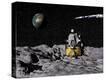 Stretched Canvas Print
