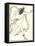 Apollo Pursuing Daphne, 1896-Aubrey Beardsley-Framed Premier Image Canvas