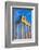 Apollo Temple, Side, Antalya Province, Turkey Minor, Eurasia-Neil Farrin-Framed Photographic Print