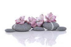 Stacked of Striped Stones and Pink Orchid-Apollofoto-Photographic Print