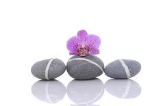 Nature Stones with Pink Orchid-Apollofoto-Photographic Print